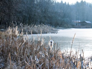 Гололед и мороз до -28: какая погода ждет Подмосковье с 24 по 27 января