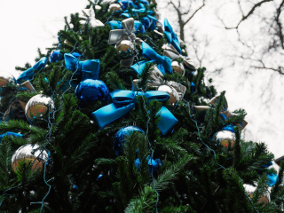 Наряженная живая елка «села» в электричку и укатила в неизвестном направлении