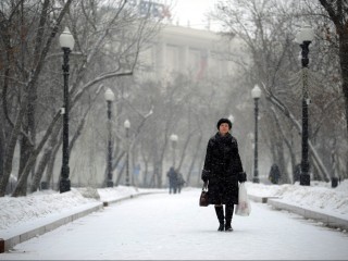 Морозы в регионе бьют по ночам: желтый уровень погодной опасности объявили в Подмосковье