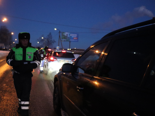 Начинающих водителей призвали быть внимательнее за рулем