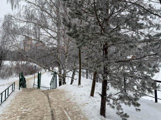 Метеорологи назвали дату: сильные морозы сменятся снегом в Подмосковье