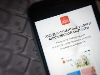 В Подмосковье ажиотаж на услуги по земле и имуществу: что можно оформить без личного визита