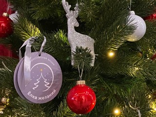 Сотрудники правопорядка исполнил мечту сына героя СВО в Королеве