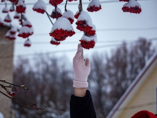 «Снег на Татьяну — лето дождливое»: рассказываем, что по народным приметам предвещает рекордный холод на Татьянин день в 2026-м
