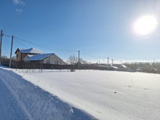 Свободные гектары: где в Подмосковье могут появиться оленьи фермы и глэмпинги