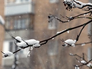 В Мытищи снова придут морозы: на регион надвигается новый циклон