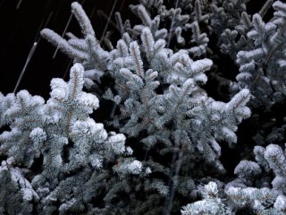 Ночь на 26 января может побить все рекорды: синоптик предупредил о пике морозов в Подмосковье