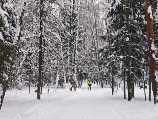 Три маршрута и прокат: парки Балашихи приглашают на лыжню