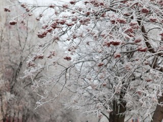 Опустится аж до минус 30? Синоптик рассказал, насколько холодно будет в Московском регионе в ближайшие дни