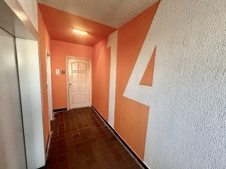 Стилист и боец ММА подрались в Одинцове