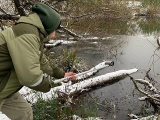 Водоемы Подмосковья проверили на микропластик: где взяли пробы и какой вердикт вынесли ученые