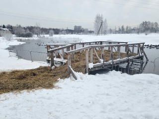 Два места для крещенских купаний оборудуют в Пушкинском округе к 18 января