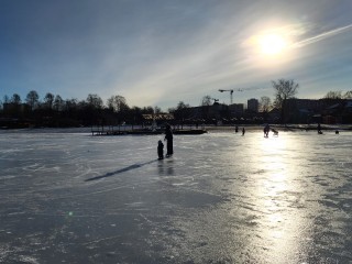 Жители Пушкино стали свидетелями «забытого» природного явления в небе