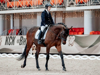 Трое спортсменов из Котельников будут представлять область по паралимпийской выездке в 2026 году