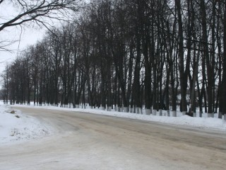 В Растуново установили причины подтопления дороги и определили меры по водоотведению