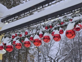 Оптическая иллюзия в Ступине: декор при входе в парк начал «строить глазки» прохожим