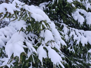 Синоптики рассказали, когда в Подмосковье придут морозы в 20 градусов