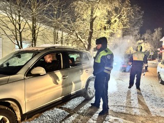 Штраф ₽5000: Шаховская Госавтоинспекция провела рейд по безопасности детей на дорогах