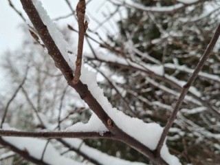 Васильева коляда: народные приметы 13 января 2026 на урожай и погоду