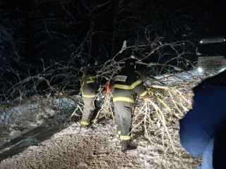 Бензопила против ствола: в Шатуре с дороги убрали крупное дерево утром 12 января