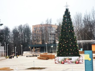 Фестиваль творчества и игр пройдет в Шаховском округе