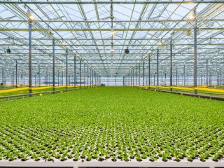 Денег куры не клюют: подмосковный агрокомплекс получил рекордную поддержку