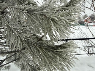 Татьянин день в ледяном аду: синоптики предупредили о смертельной стуже 25 января