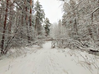 Серпухов погрузился в аномальный холод: температура опустилась до −18,4 °C