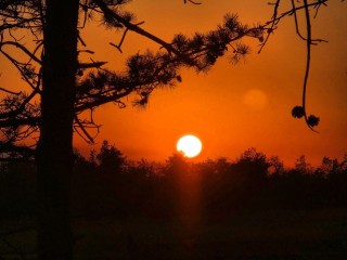 Почему предки боялись 22 января: запреты Филиппова дня и как не «пришить» к себе 33 несчастья