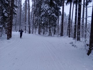 Где в Рузе можно покататься на лыжах