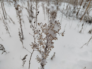 Тепло уже близко! Циклон с Балтики повысит температуру в Подмосковье до рекордных значений