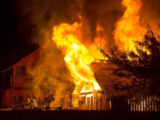 «Зеленая Зона» в огне: пожар на дачном участке в Люберцах тушат силами МЧС