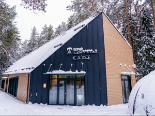 В Подмосковье стало вкуснее и уютнее: как изменилась карта общепита за год и где искать самое интересное меню