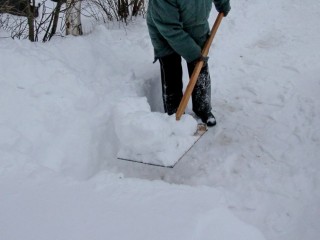 Маленькие герои зимы: в Дубне дети взяли лопаты и помогли коммунальщикам расчистить снег
