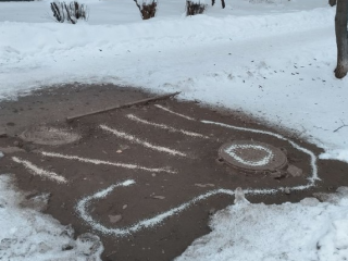 Больше, чем просто корм: житель Селятино превратил заботу о птицах в настоящее искусство