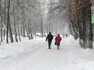 Снежный коллапс в Подмосковье: прогноз погоды на 8 января 2026 года