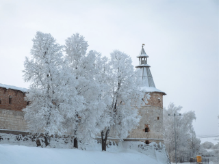 Какие вороны к оттепели: Филиппов день по поверьям обещал гору забот