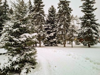 Ледяная подпись января: каким будет самый холодный день зимы в столичном регионе