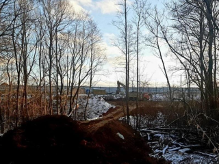 В деревнях Венюково и Поповка выявили захламленные участки: что нужно знать владельцам и как избежать штрафа