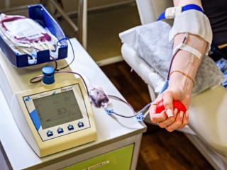 Почти полсотни талдомчан 19 января сдадут свою кровь ради спасения людей