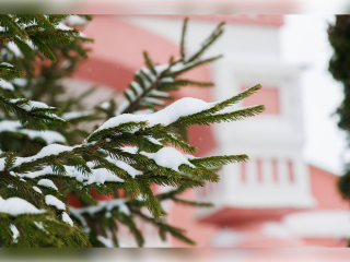 Каширян предупредили о наступлении сильных морозов