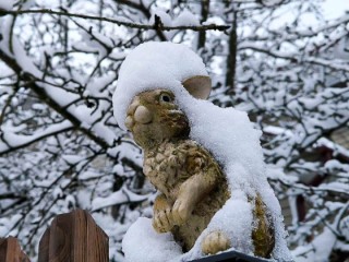 Ждать ли морозов в Подмосковье на Рождество — 2026? Точный прогноз Гидрометцентра