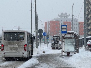 Власти просят горожан отказаться от поездок на личных машинах в пользу общественного транспорта