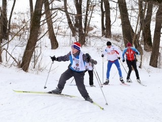 Где в Луховицах этой зимой можно покататься на лыжах