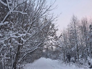 На смену снегопадам идут крещенские морозы до -30! На Подмосковье движется леденящий холод