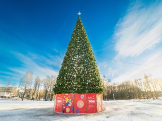«Пусть все желания исполнятся»: егорьевцы принимают поздравления с Новым 2026 годом