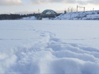 Морозы приблизятся к 30-градусным: к чему еще готовиться жителям Подмосковья
