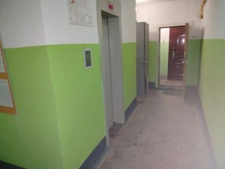 В Истре за неделю «подлатали» десятки подъездов многоэтажек: где именно