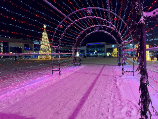 Сильные морозы до -20 обещают можайцам синоптики в этот день