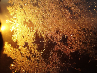 Ждать ли экстремальных морозов до -30° в Подмосковье? Синоптики дали точный прогноз